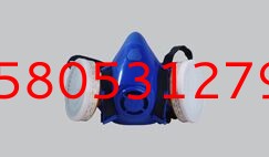 TF系列A-IV型自吸過濾式半面具.jpg