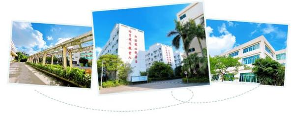 今年上中職學校,3年后職業本科擴招14倍,珠海市創沃中等職業學校職教高考班為你開辟全日制大學通道